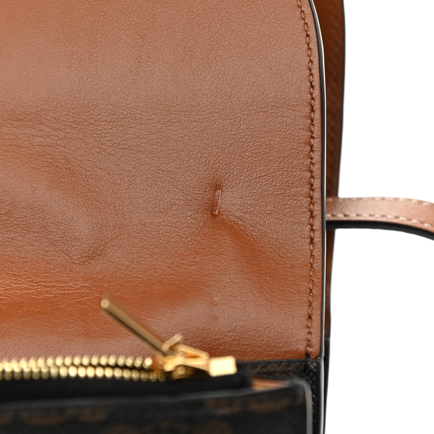 Celine Triomphe Canvas Lambskin Wallet On Strap Tan 13 of 13