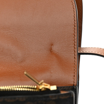Celine Triomphe Canvas Lambskin Wallet On Strap Tan 13 of 13