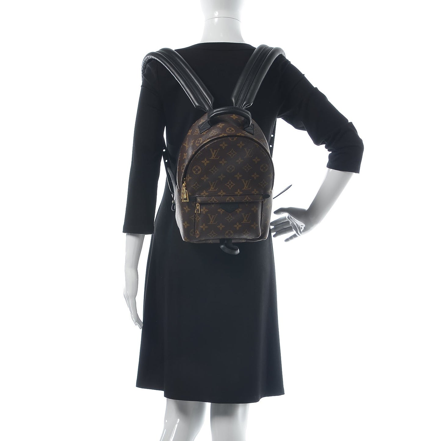 Monogram Palm Springs Backpack PM