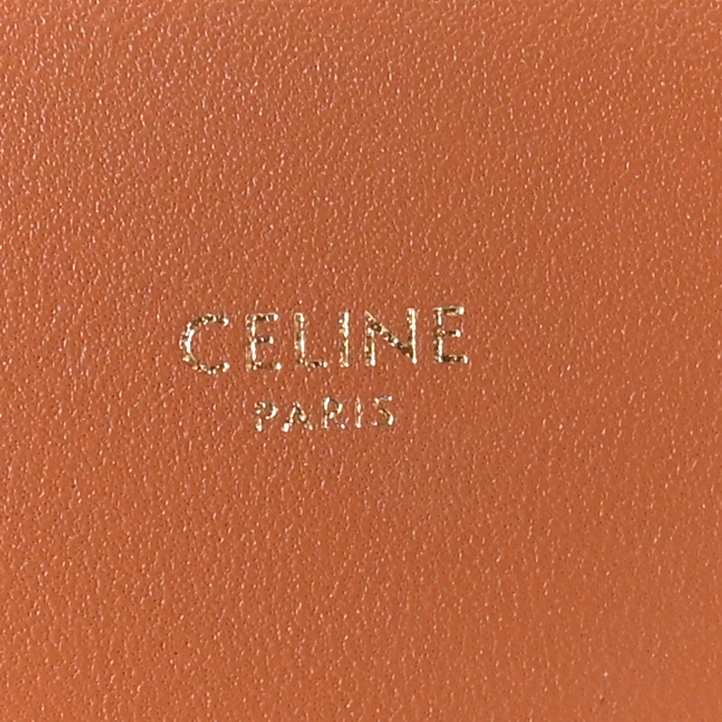 Triomphe Canvas Asymmetric Clutch Tan