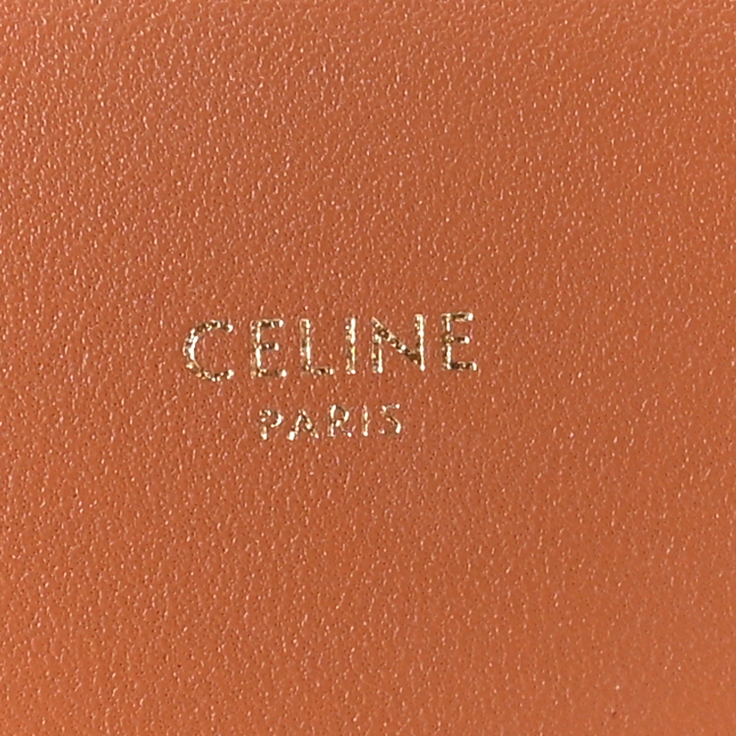 Celine Triomphe Canvas Asymmetric Clutch Tan 6 of 8