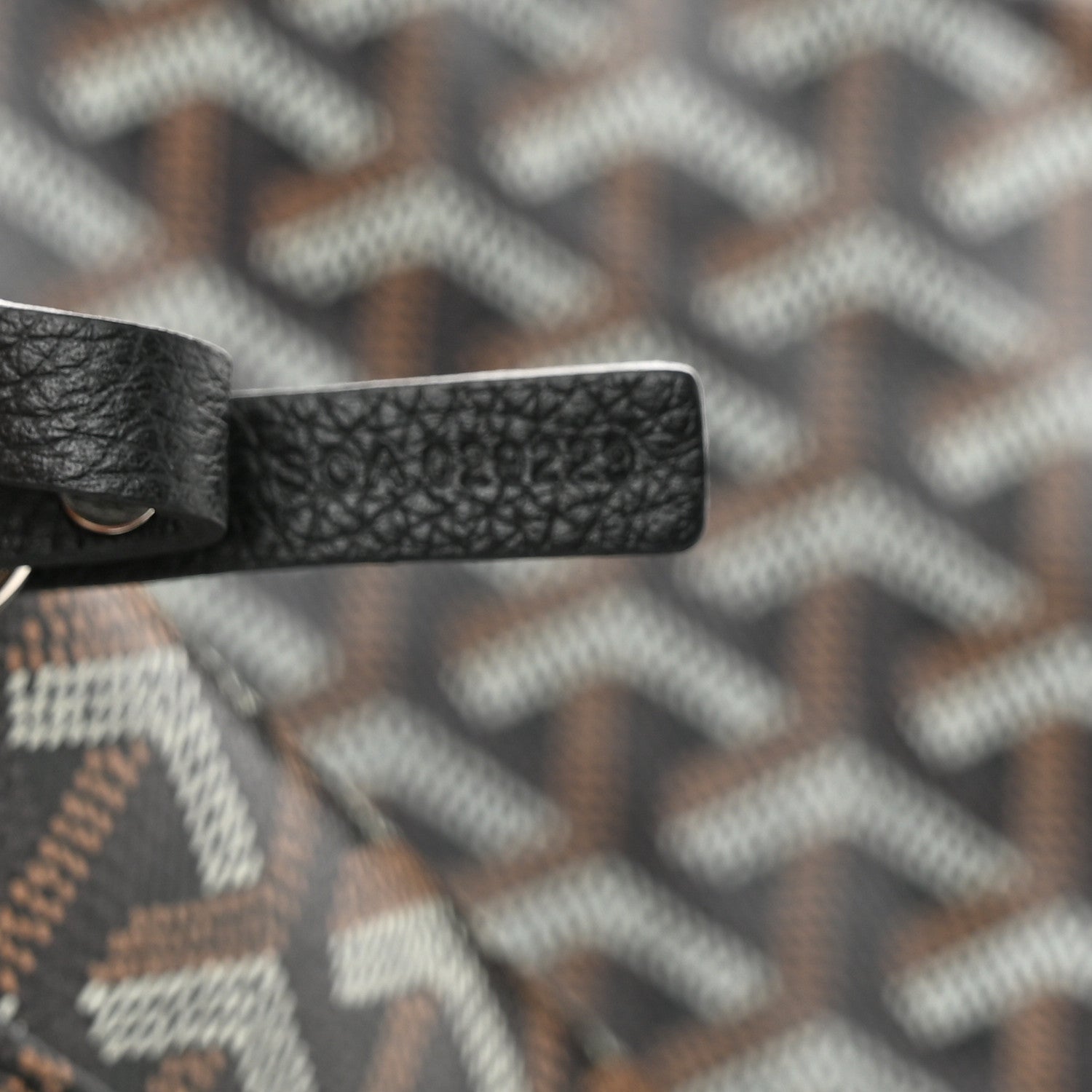 Goyard Goyardine Saint Louis PM Black 7 of 10