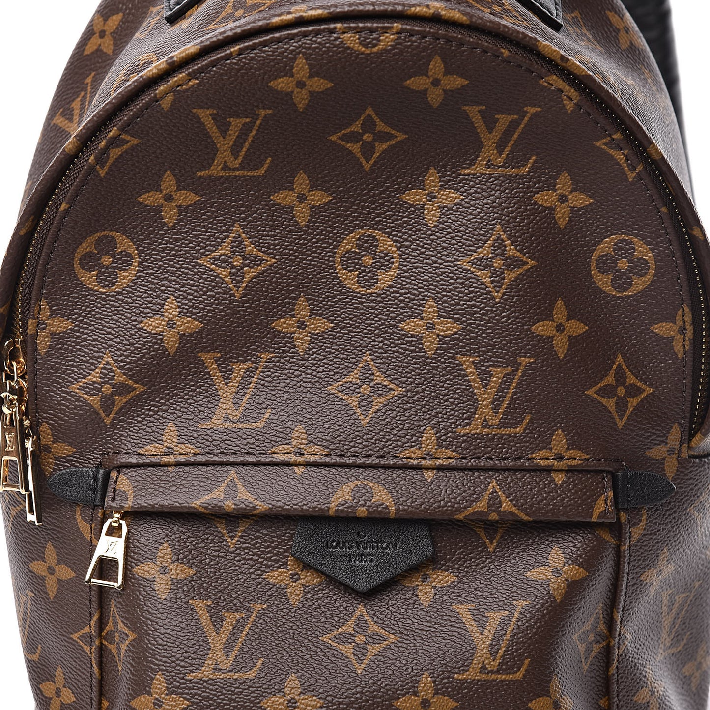 Monogram Palm Springs Backpack PM