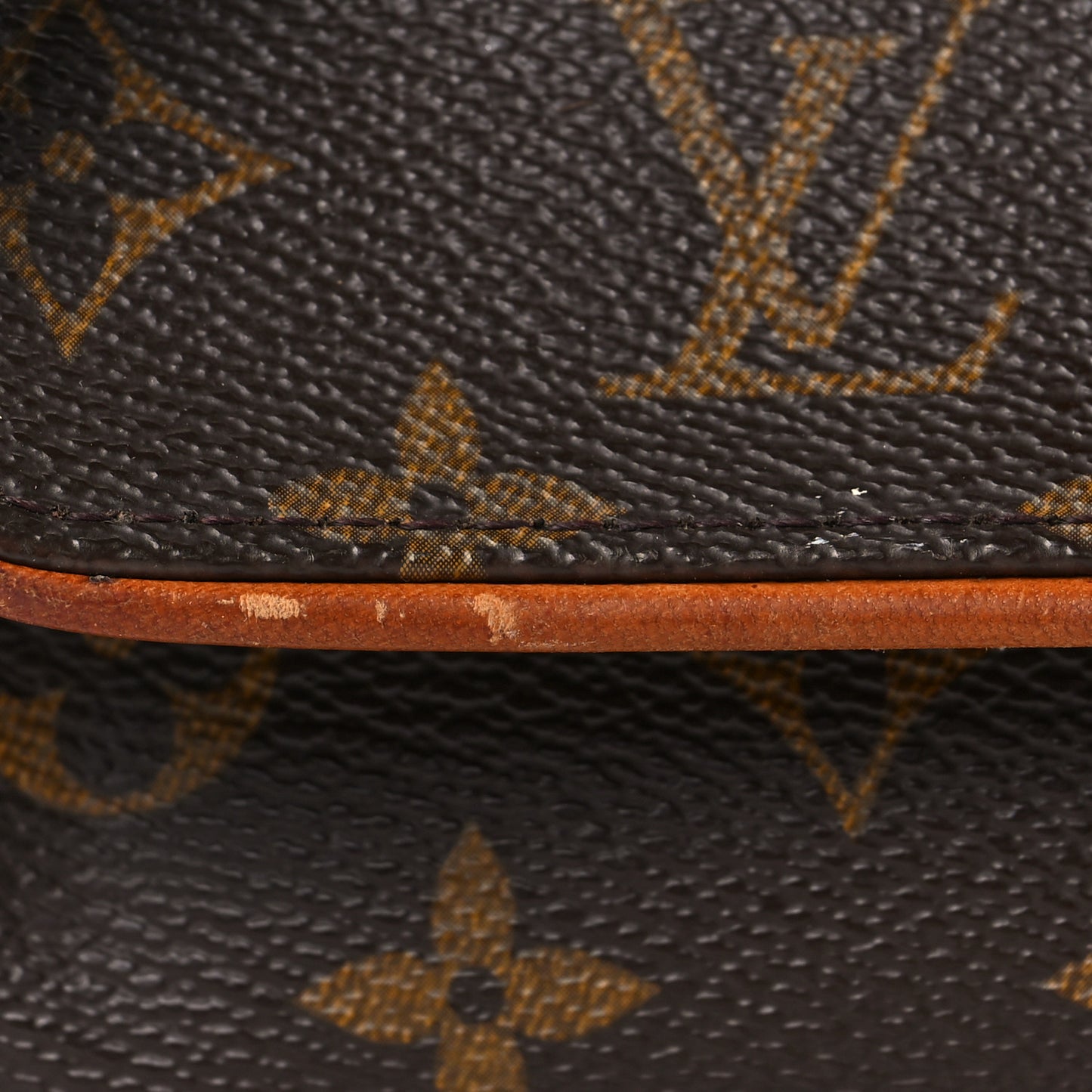Monogram Pochette Twin PM