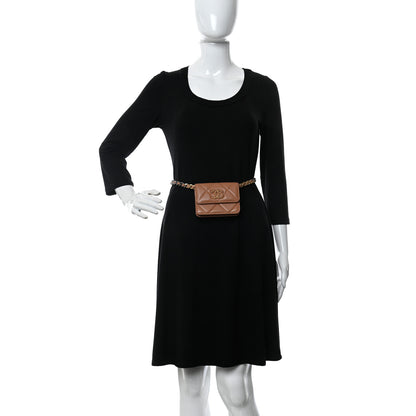 Chanel Lambskin Quilted Chanel 19 Flap Belt Bag Brown 3 of 12
