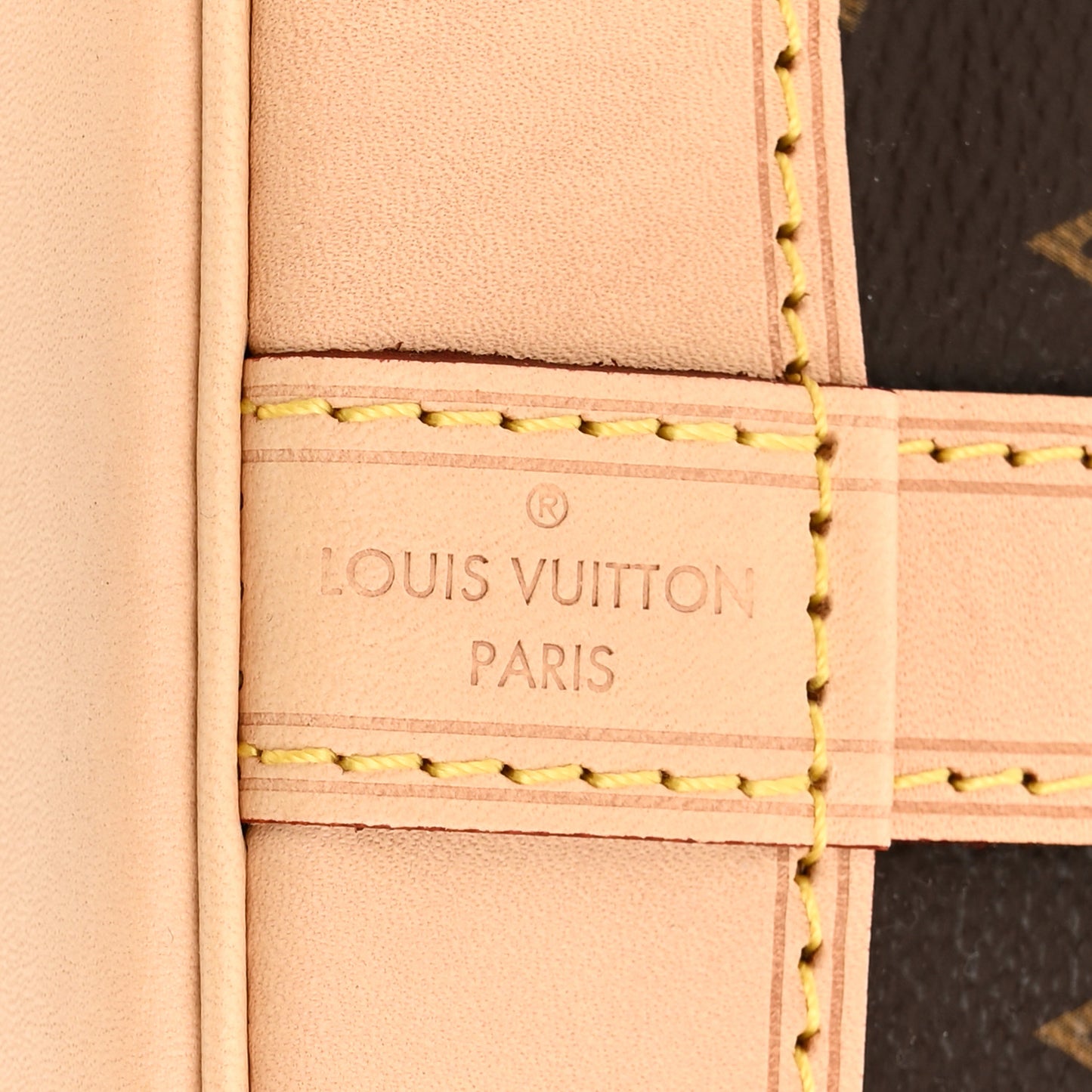 Monogram Petit Noe NM