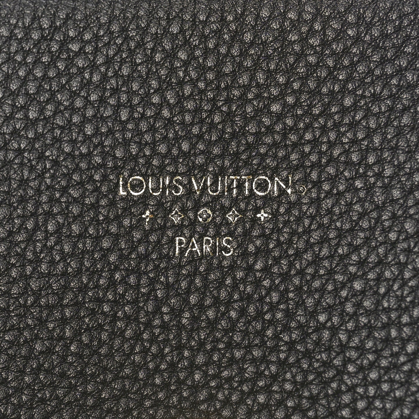 Grained Calfskin LV Pont 9 Soft PM Black