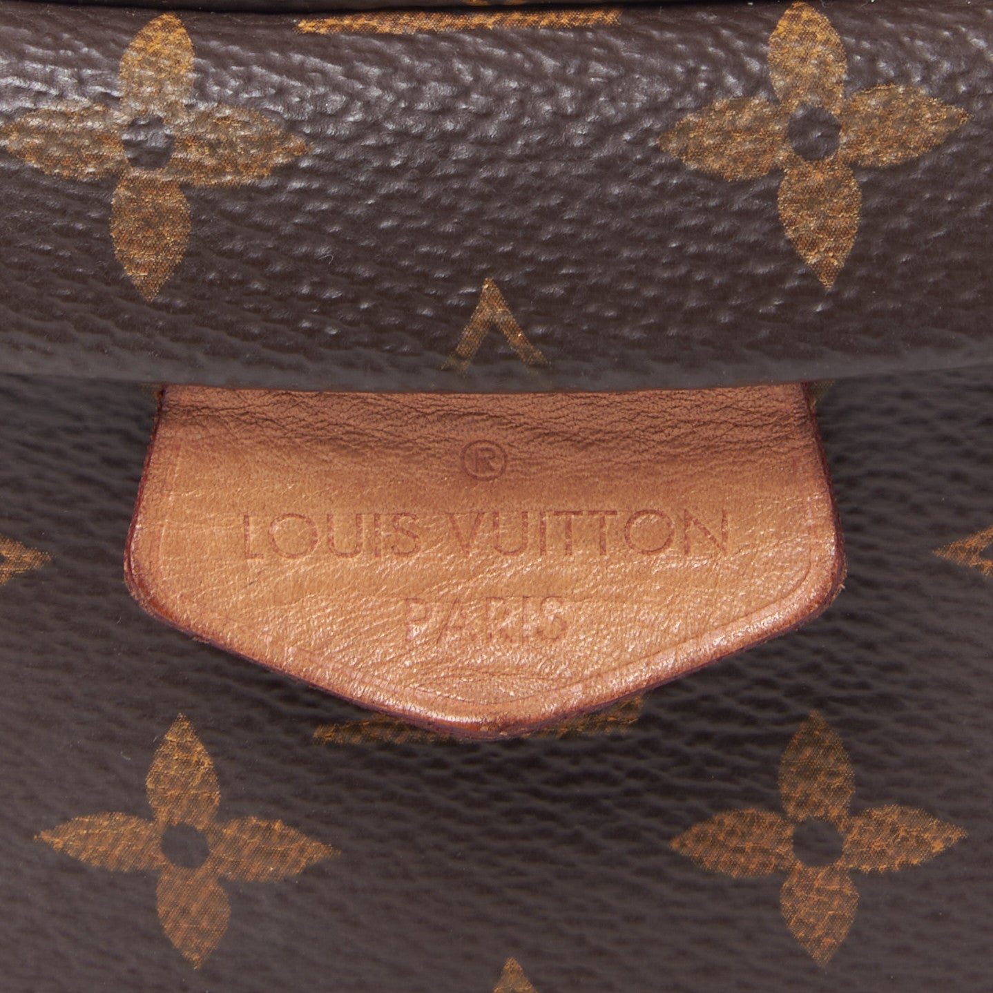 Monogram Bumbag