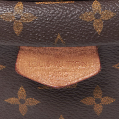 Louis Vuitton Monogram Bumbag 6 of 8