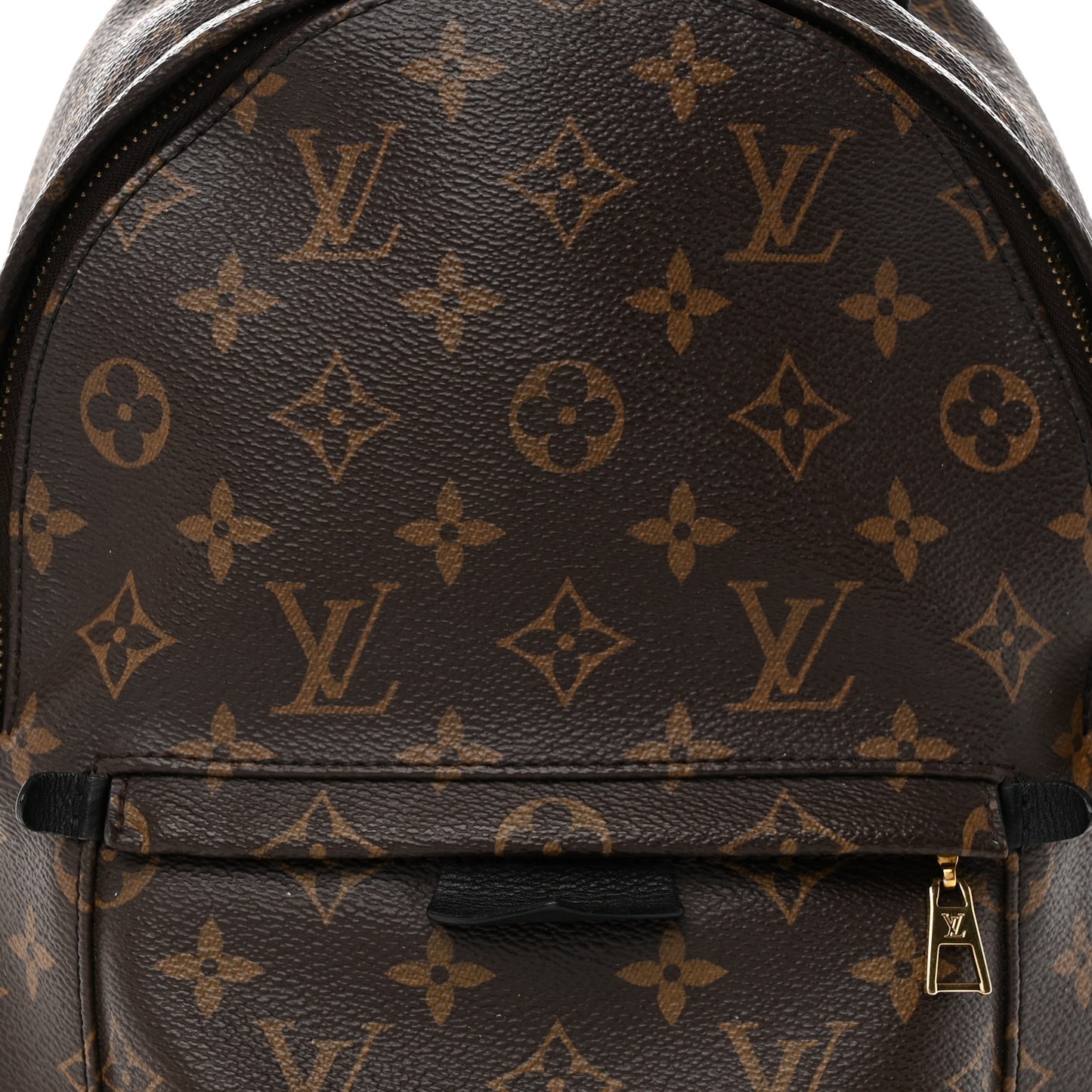 Monogram Palm Springs Backpack PM