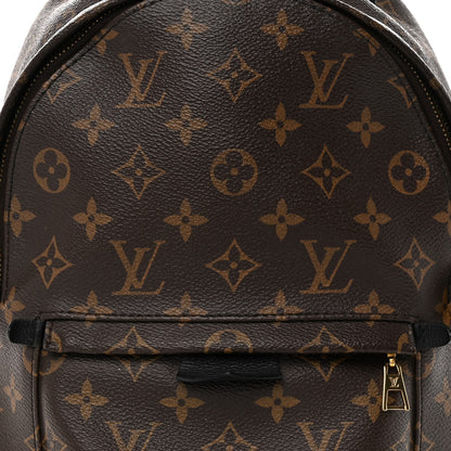 Louis Vuitton Monogram Palm Springs Backpack PM 8 of 14