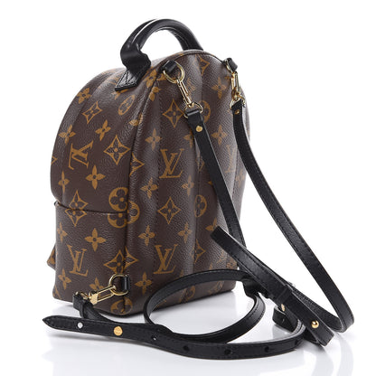 Louis Vuitton Monogram Palm Springs Backpack Mini 3 of 11