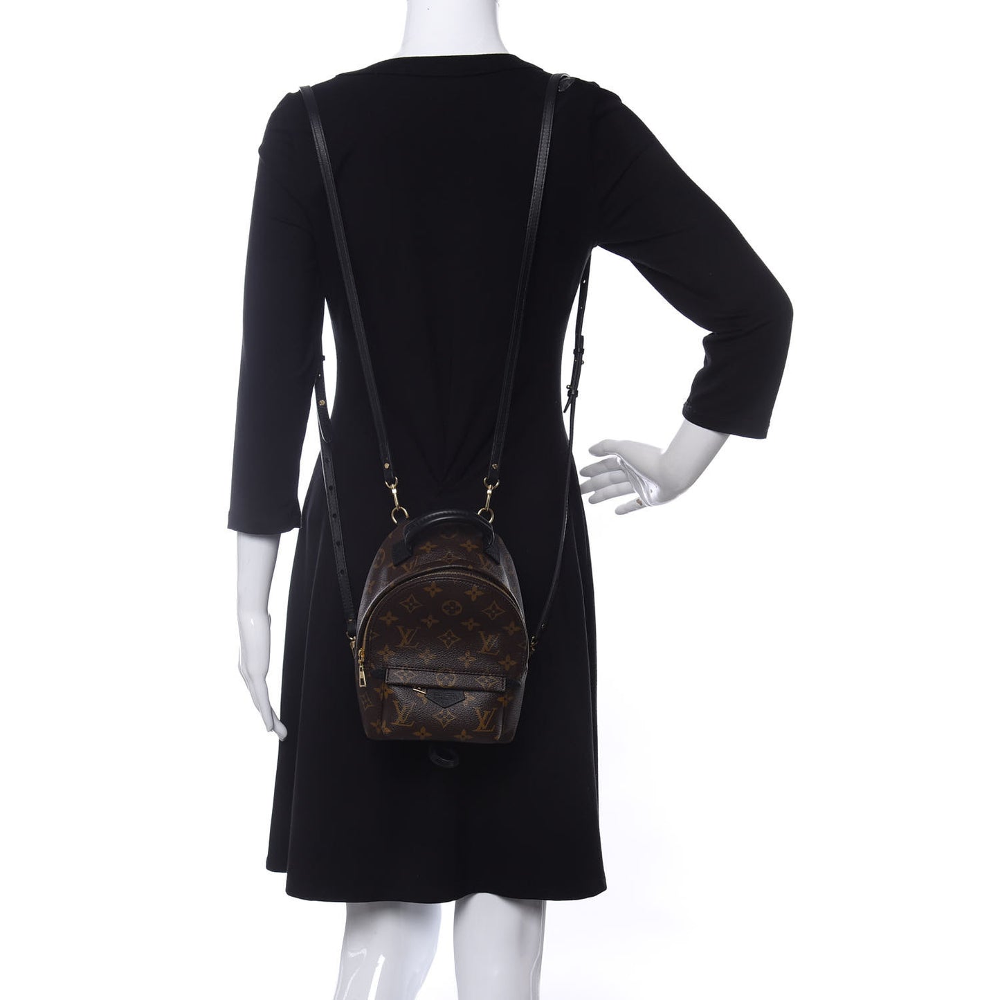 Monogram Palm Springs Backpack Mini
