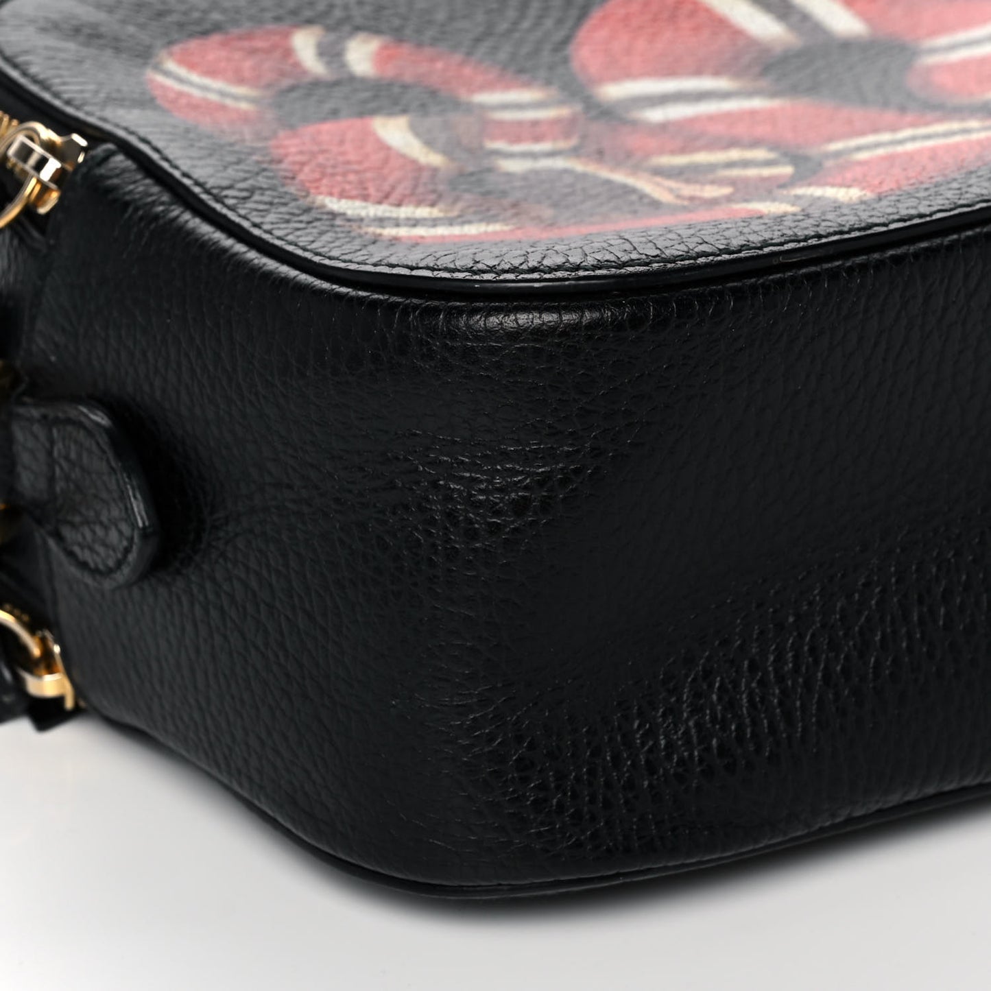 Grained Calfskin Sylvie Web Kingsnake Small Camera Bag Black Multicolor