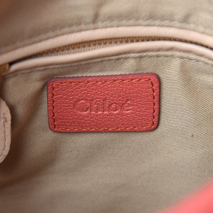 Chloe Calfskin Medium Paraty Paradise Pink 6 of 12