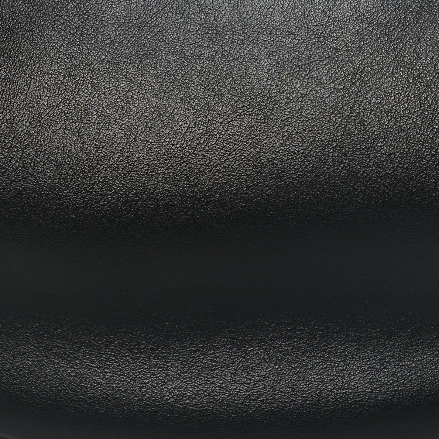 Vitello Grace Matte Small Fendigraphy Hobo Bag Black