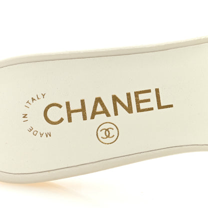 Chanel Lambskin Crystal Embellished Grosgrain CC Bow Mules 37 Black 7 of 7