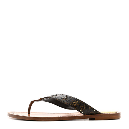 Louis Vuitton Monogram Sunny Flat Thong Sandals 40 Brown 1 of 7