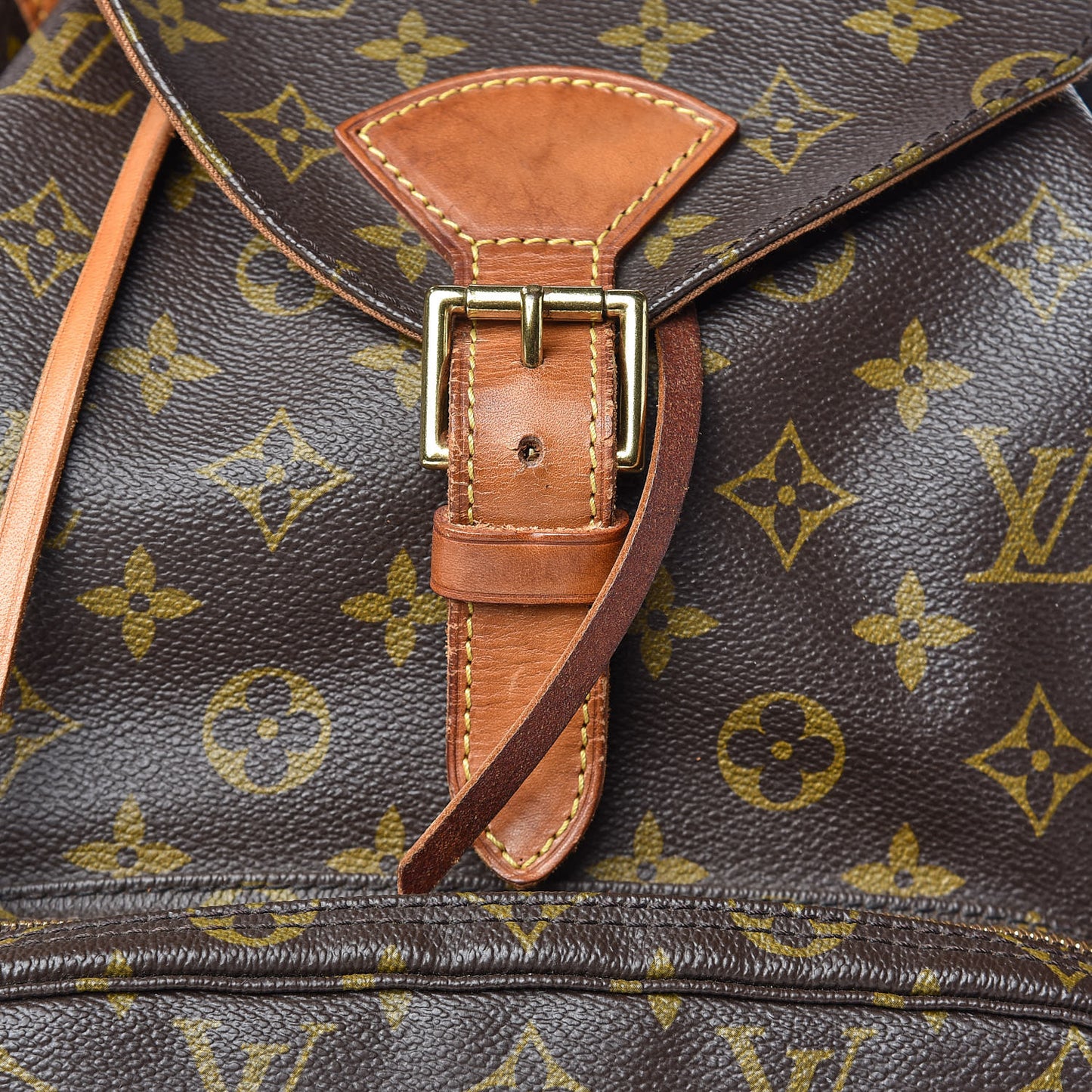 Monogram Montsouris GM Backpack