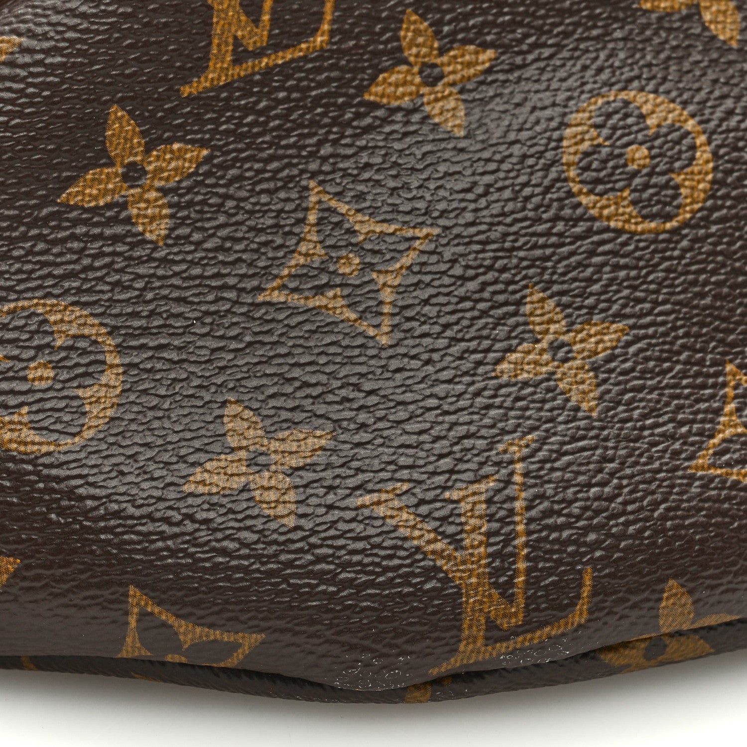 Louis Vuitton LOUIS VUITTON Monogram Bumbag 7 of 8