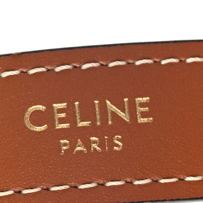 Celine Canvas Calfskin Ava Triomphe Shoulder Bag White 6 of 9