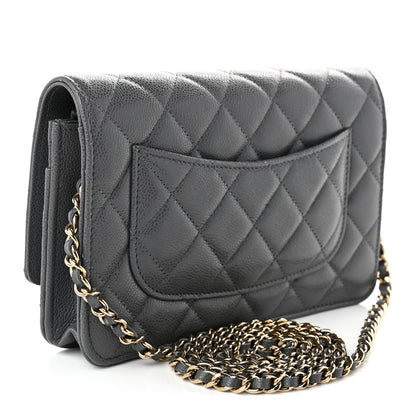 Chanel Caviar Quilted Wallet on Chain WOC Grey 2 of 11