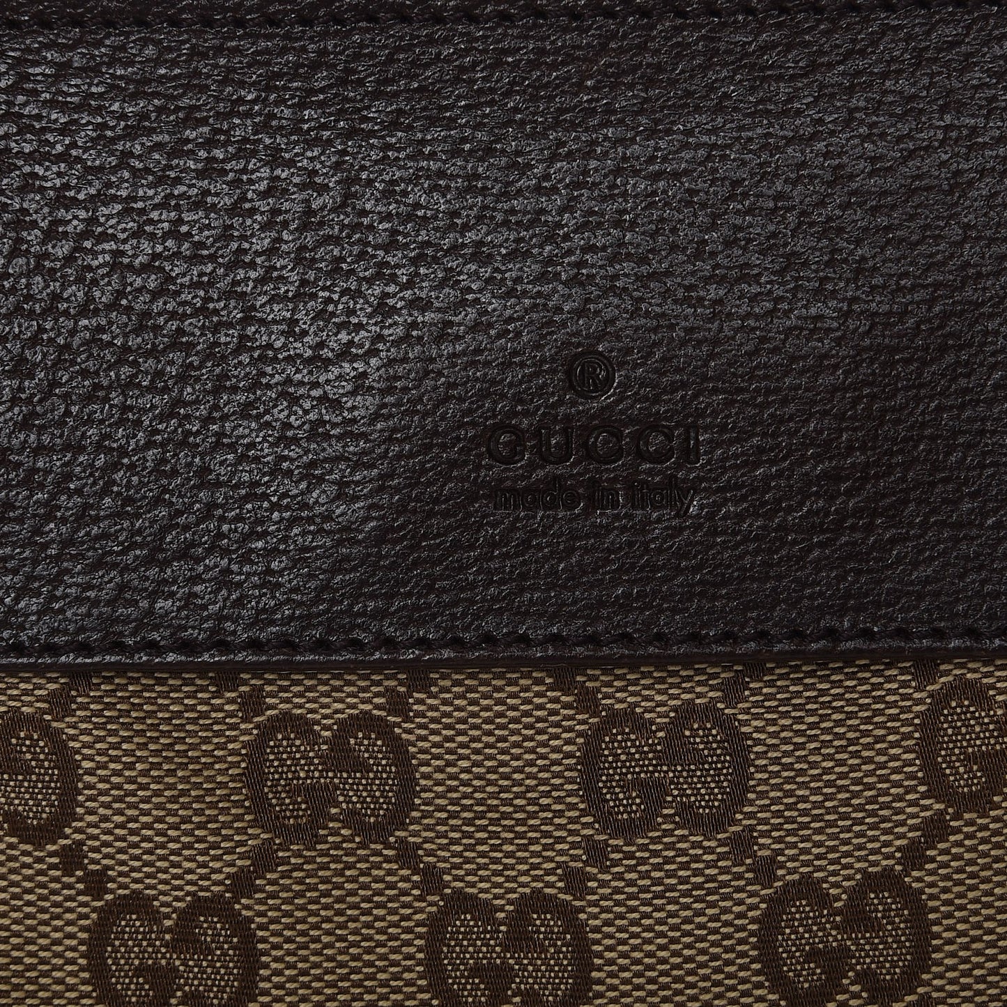Monogram Web Belt Bag Dark Brown