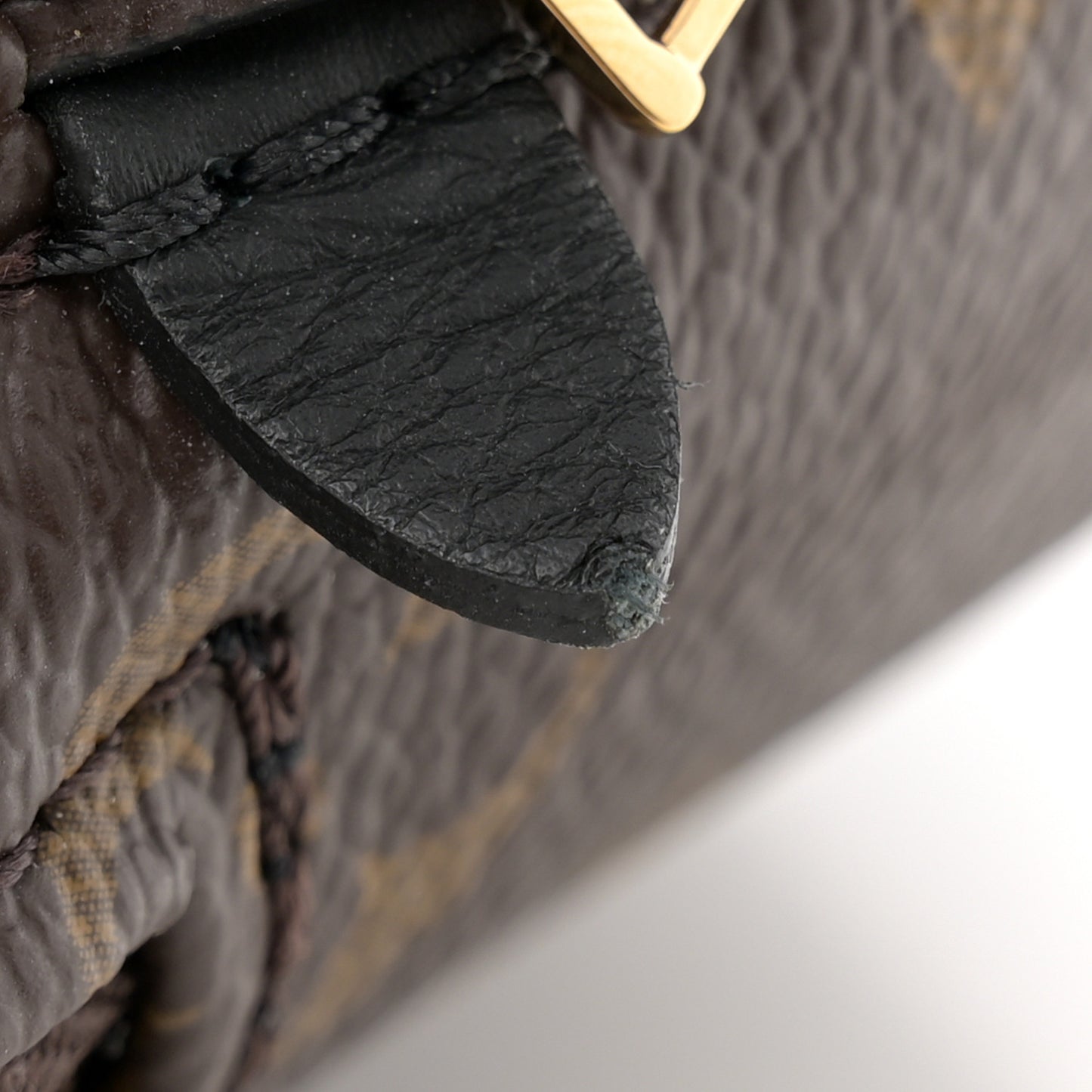 Monogram Palm Springs Backpack Mini