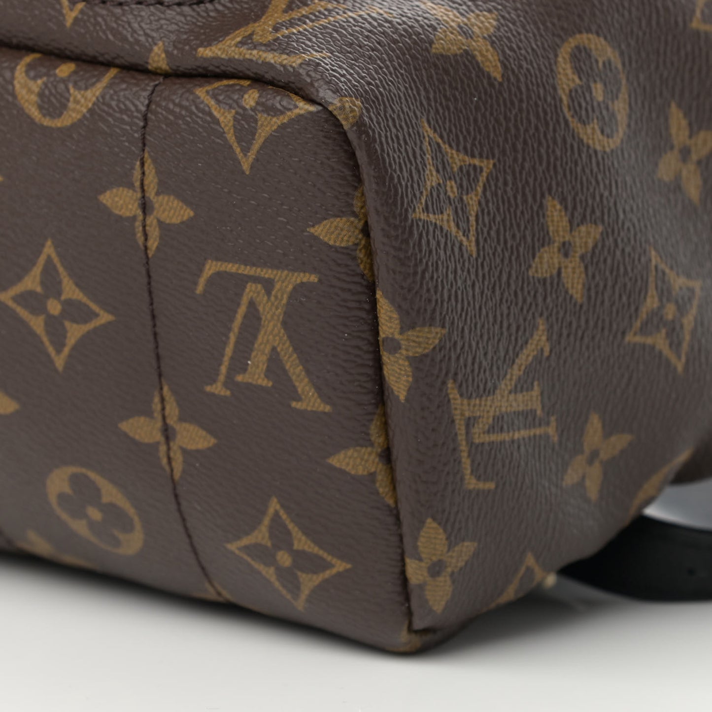 Monogram Palm Springs Backpack MM