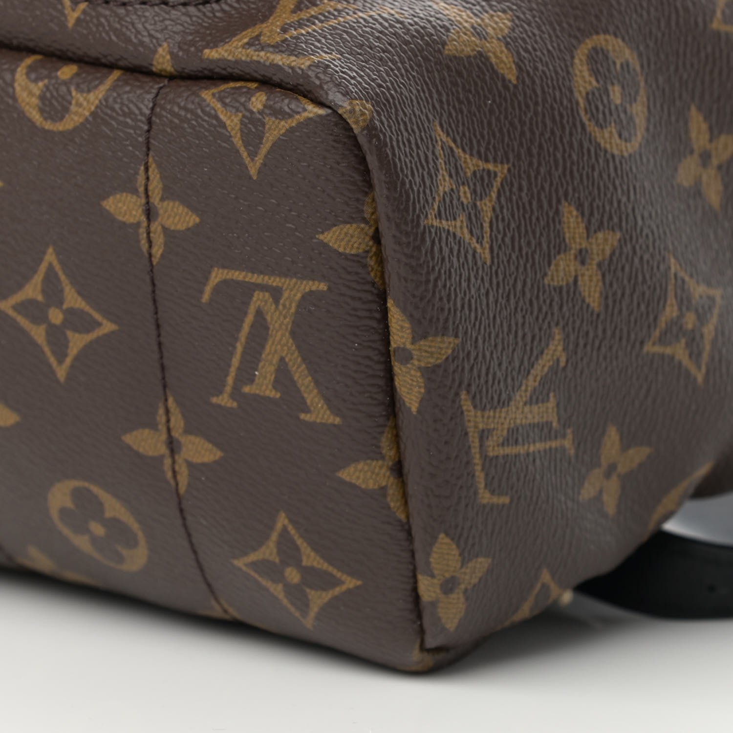 Louis Vuitton Monogram Palm Springs Backpack MM 10 of 10