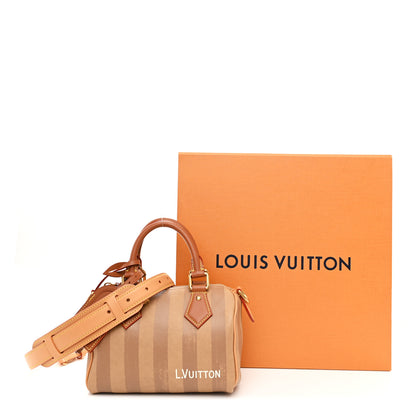 Louis Vuitton Calfskin Washed Stripes Speedy P9 Bandouliere 20 Camel 14 of 14