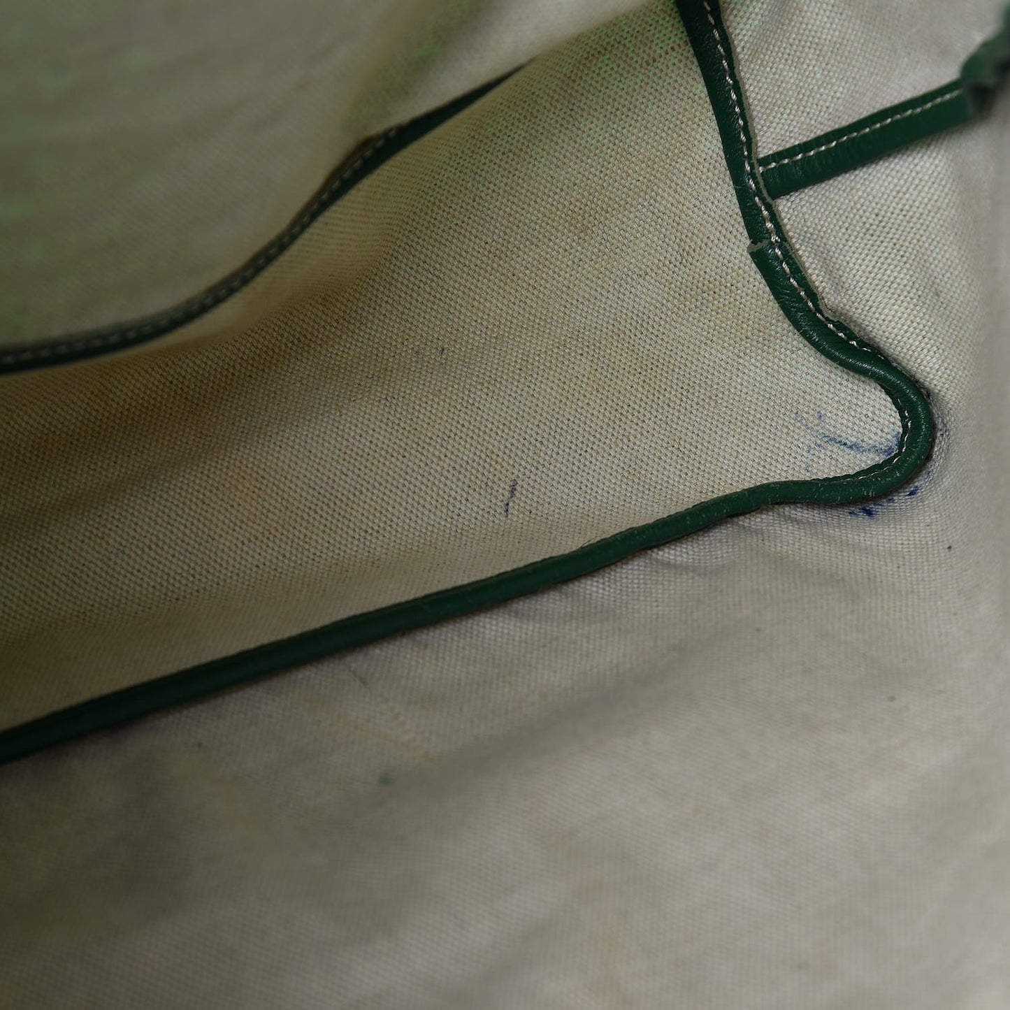 Goyardine Saint Louis PM Green