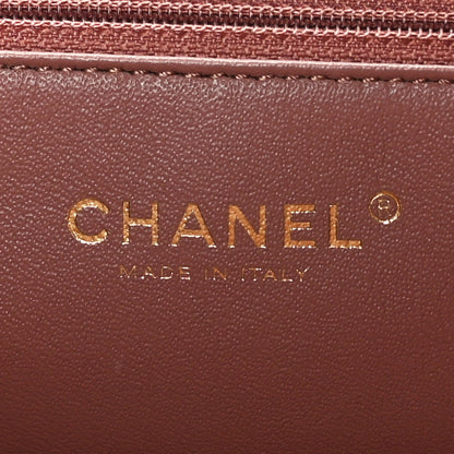 Chanel Lambskin Misia Camera Case Flap Light Brown 6 of 9