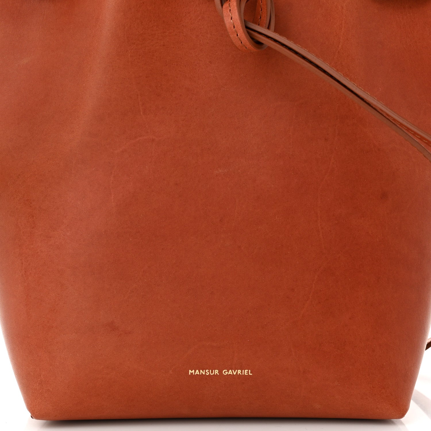 Mansur Gavriel Vegetable Tanned Calfskin Mini Bucket Bag Brandy 6 of 9