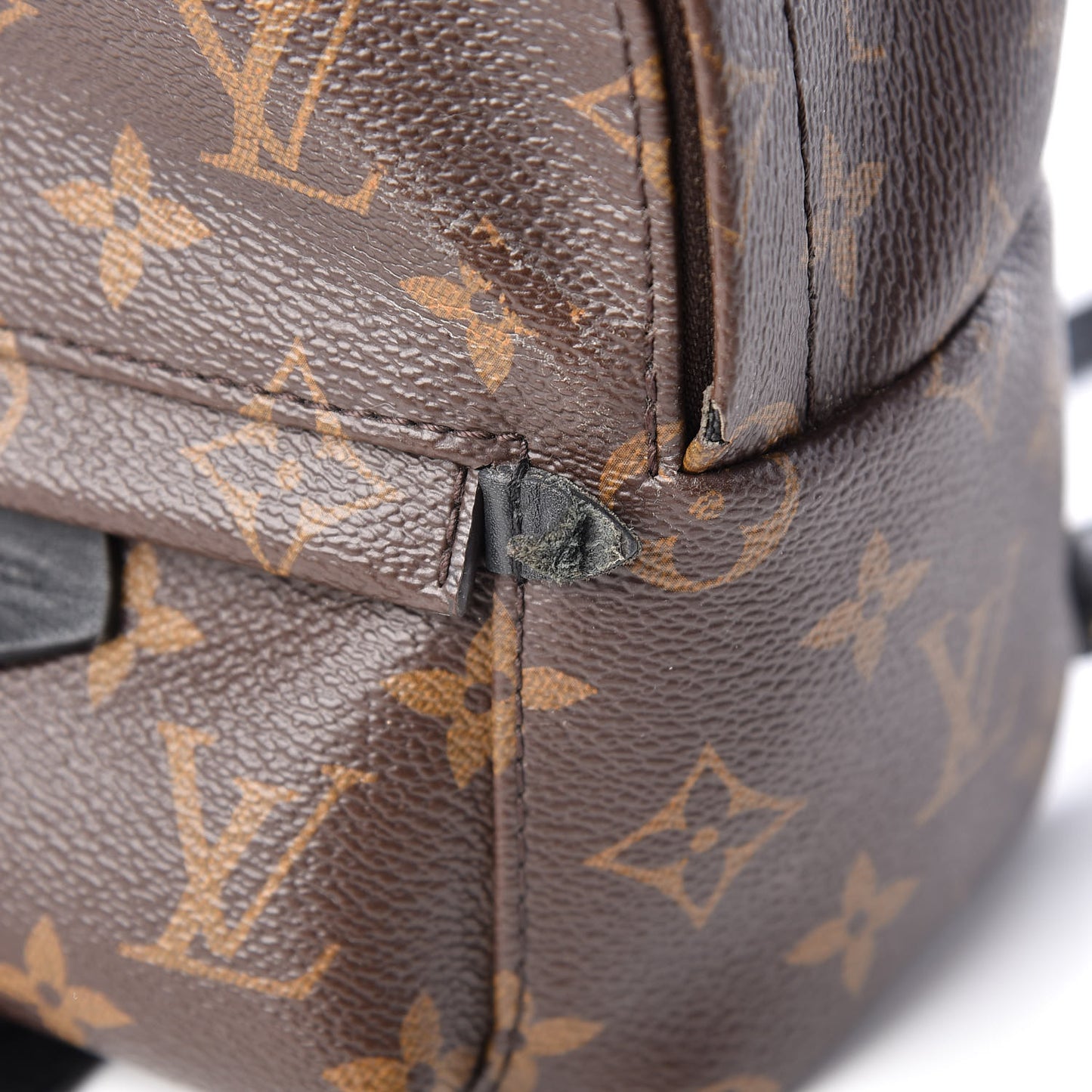 Monogram Palm Springs Backpack Mini