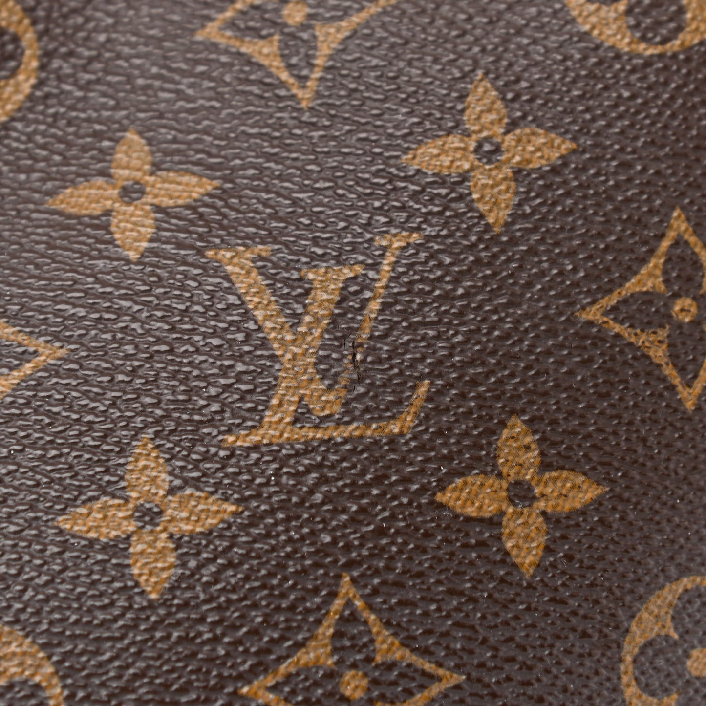 Monogram Delightful PM
