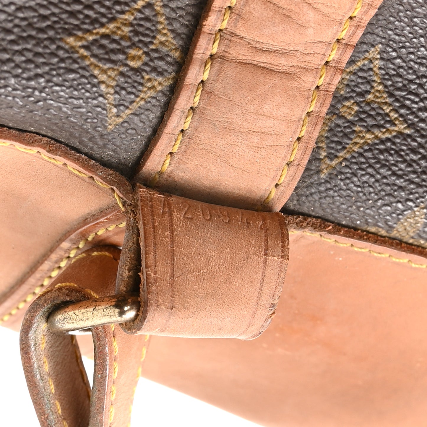 Monogram Randonnee GM Backpack