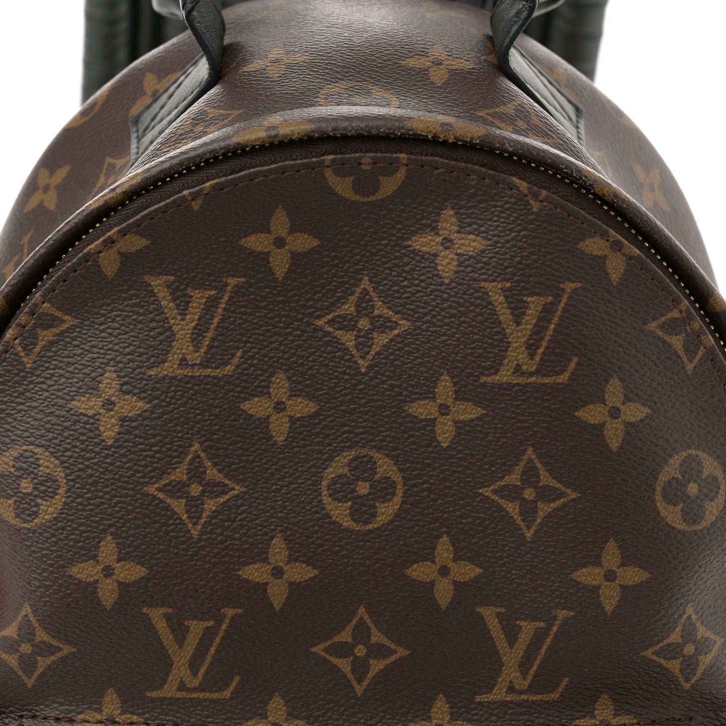 Monogram Palm Springs Backpack PM