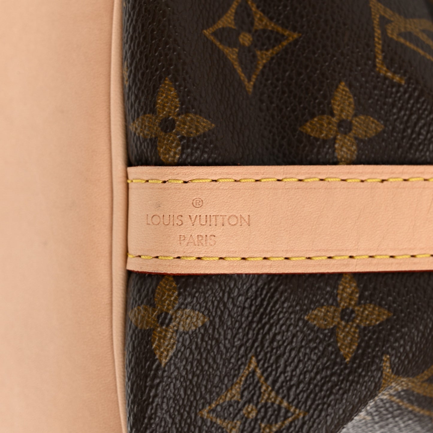 Monogram Petit Noe
