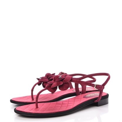 Chanel Suede Calfskin Camellia Thong Sandals 41 Dark Pink 3 of 8