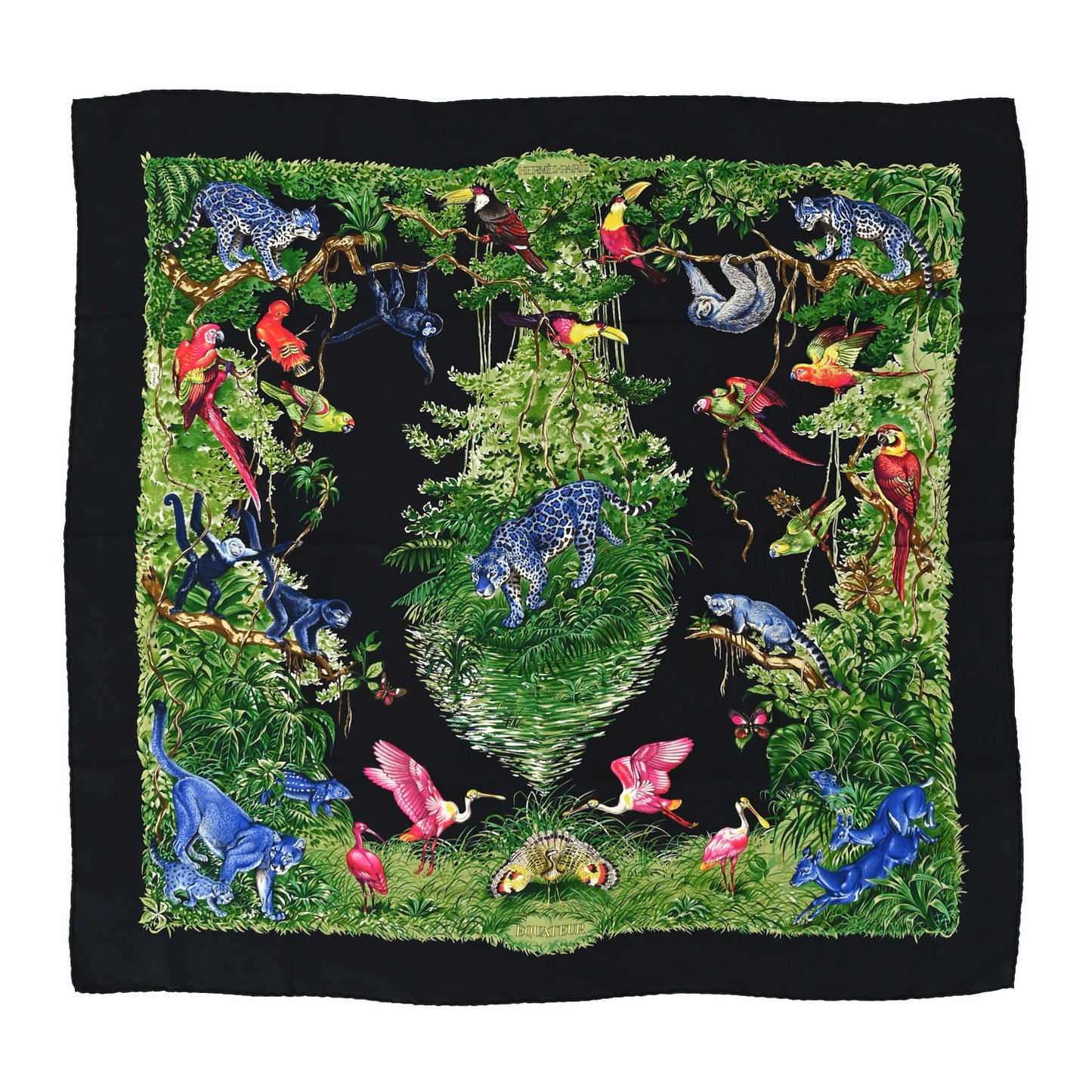 Silk Equateur Scarf 90 Black Vert Bleu