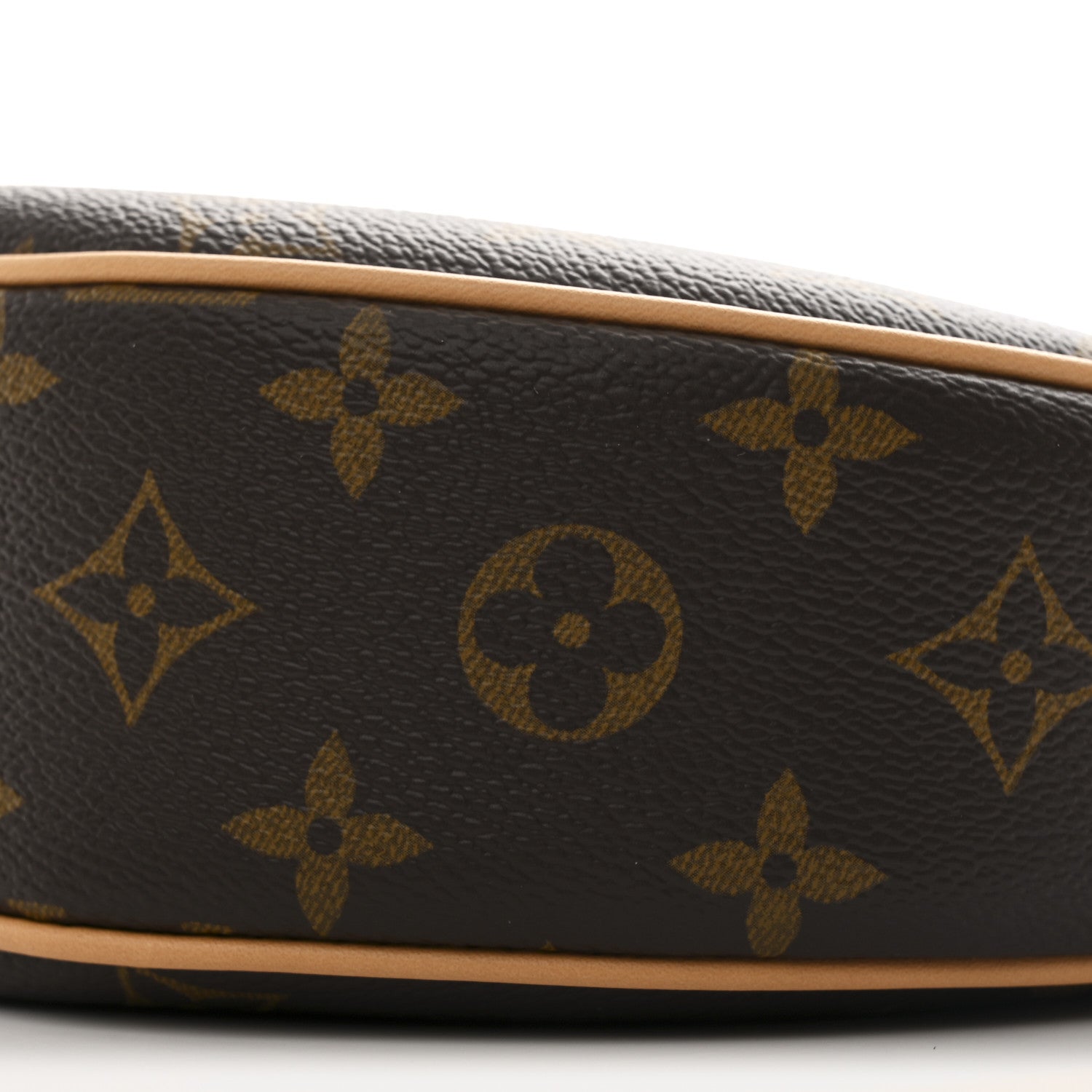 Louis Vuitton Monogram Loop 9 of 9