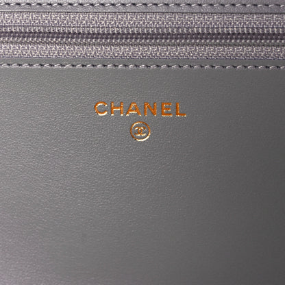 Chanel Caviar Quilted Boy Wallet On Chain WOC Grey 11 of 17