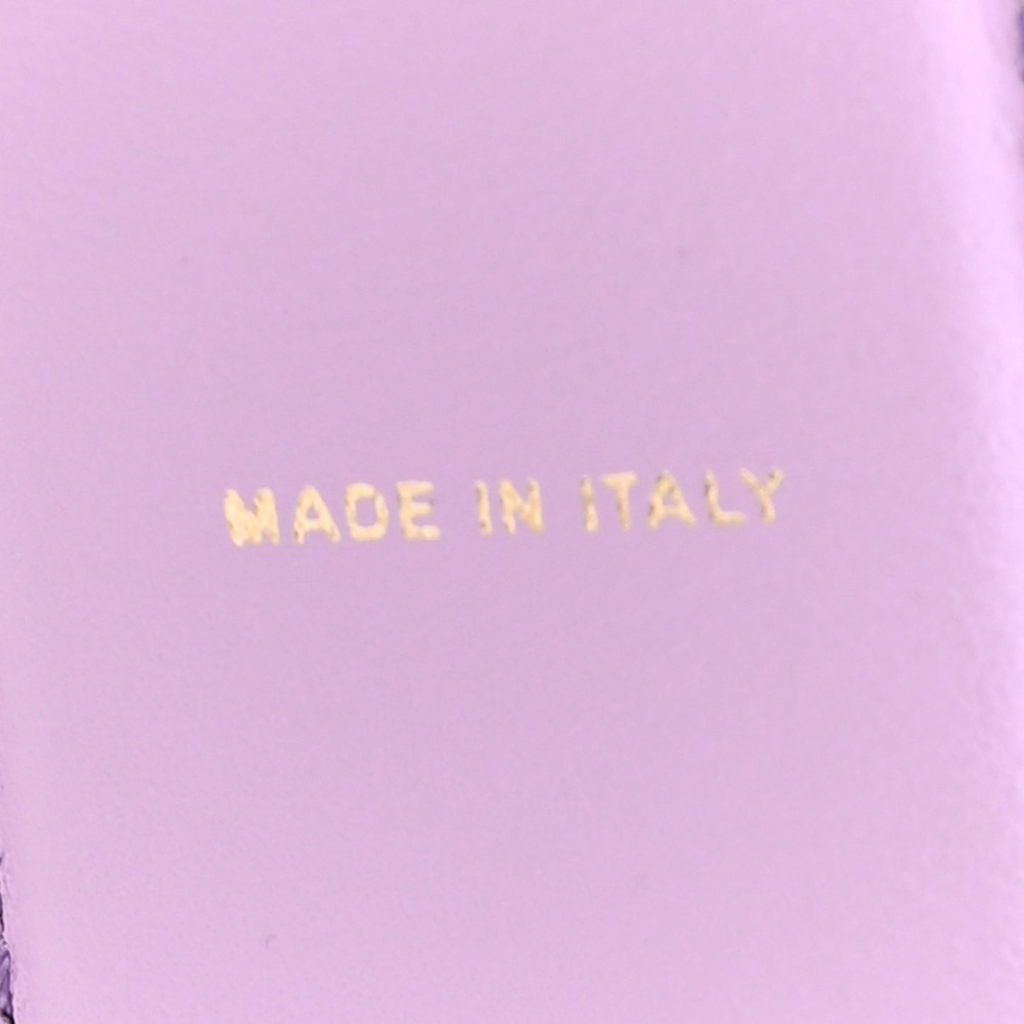 Vitello Grace Scritta Fendigraphy Strap You Violetta