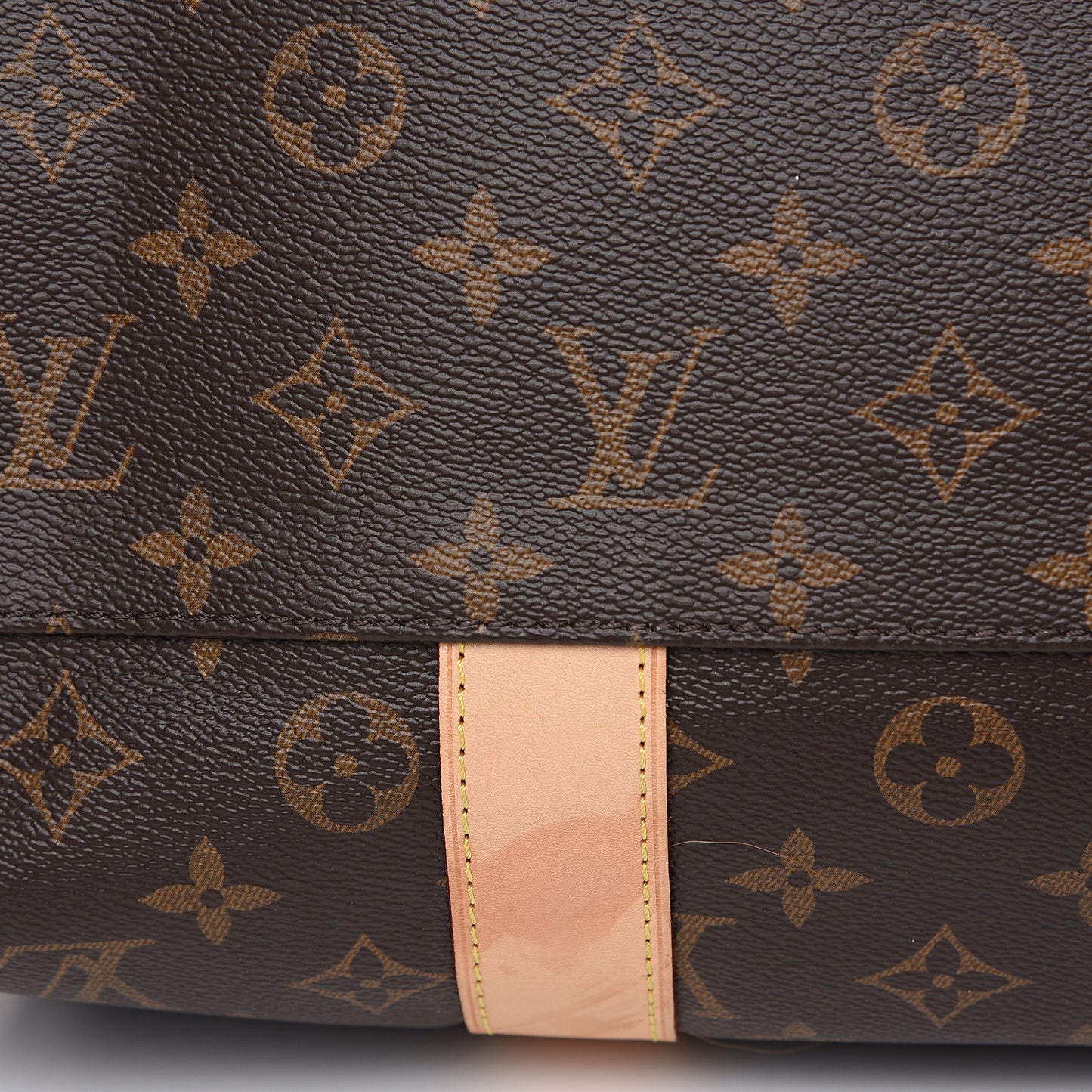 Monogram Carryall
