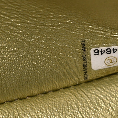 Chanel Metallic Goatskin Quilted 2.55 Reissue 225 Flap Multicolor 7 of 11