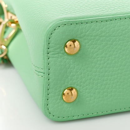 Louis Vuitton Taurillon Mini Capucines Vert Pomme 7 of 8