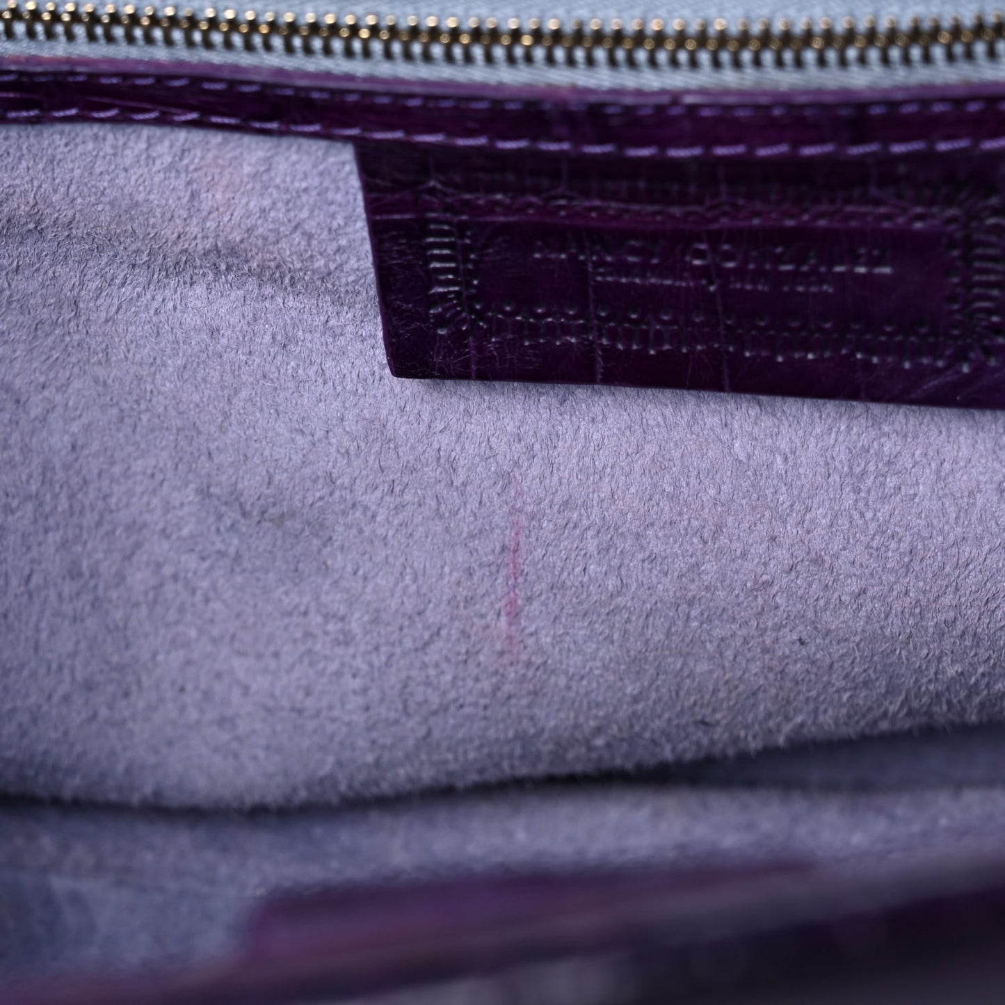 Crocodile Crossbody Bag