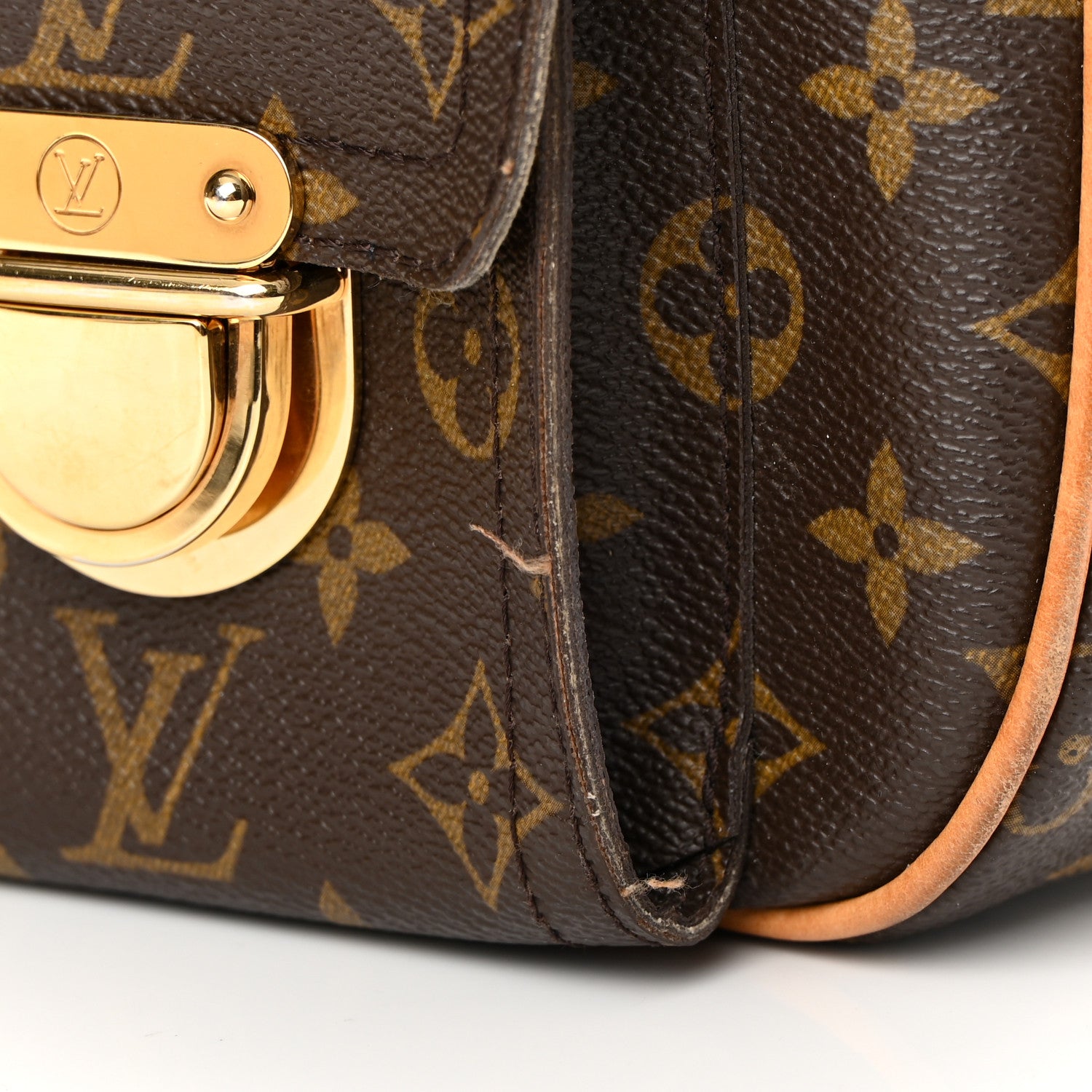 Louis Vuitton Monogram Hudson GM 12 of 20