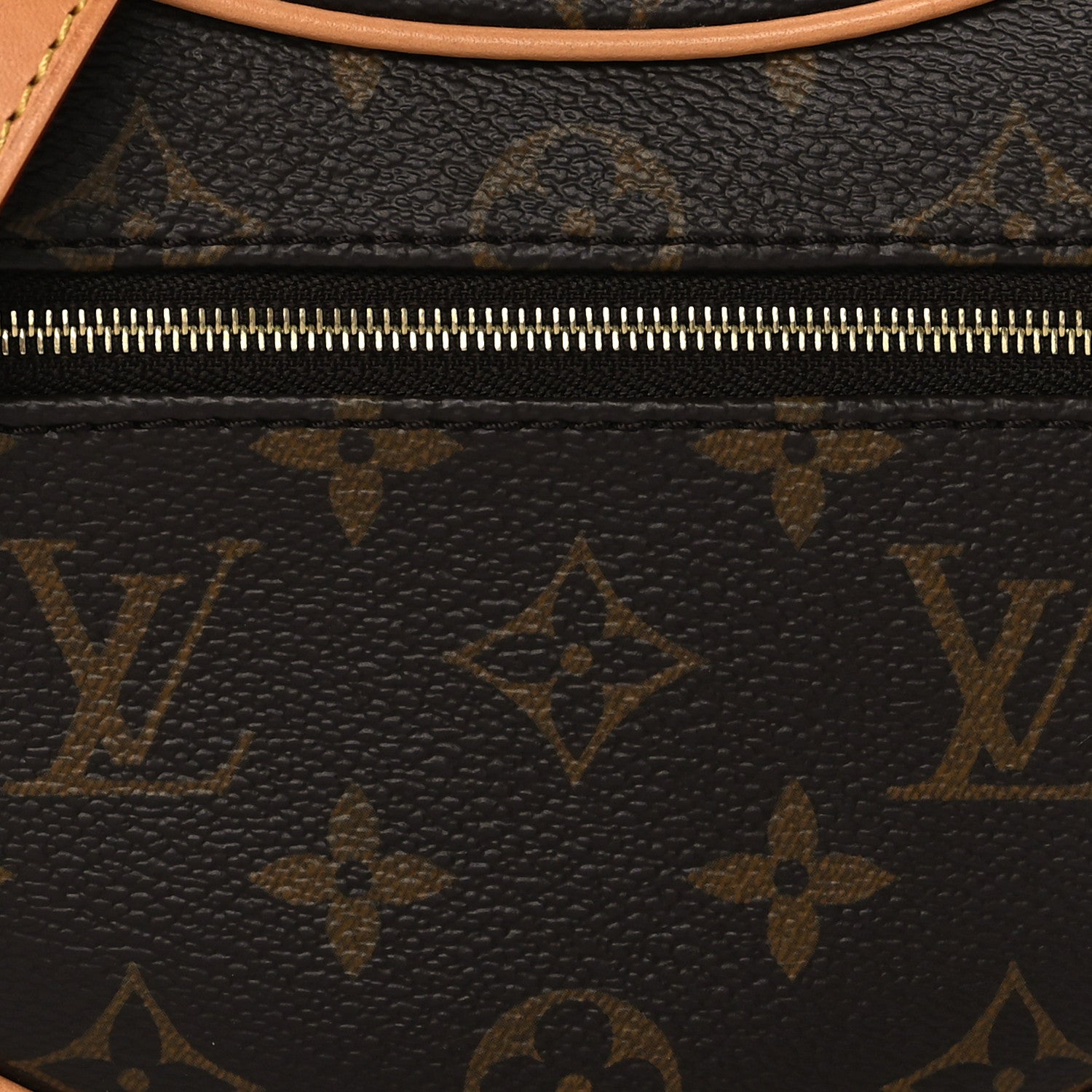 Louis Vuitton Monogram Loop 7 of 9
